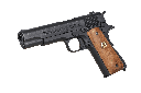GPM1911-P GP2