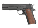 GPM1911-P