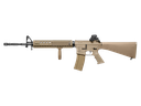 TR16 R5 DST