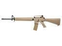 TR16 A3 DST