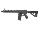 CM16 WILD HOG 12”