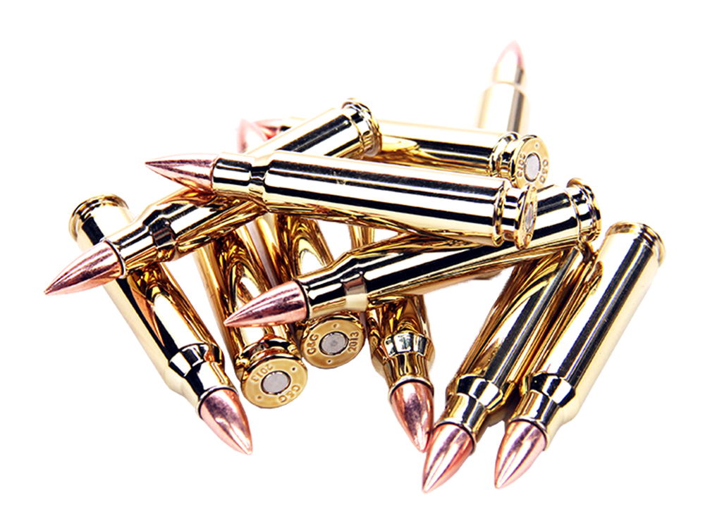 5.56 Bullet Magnet