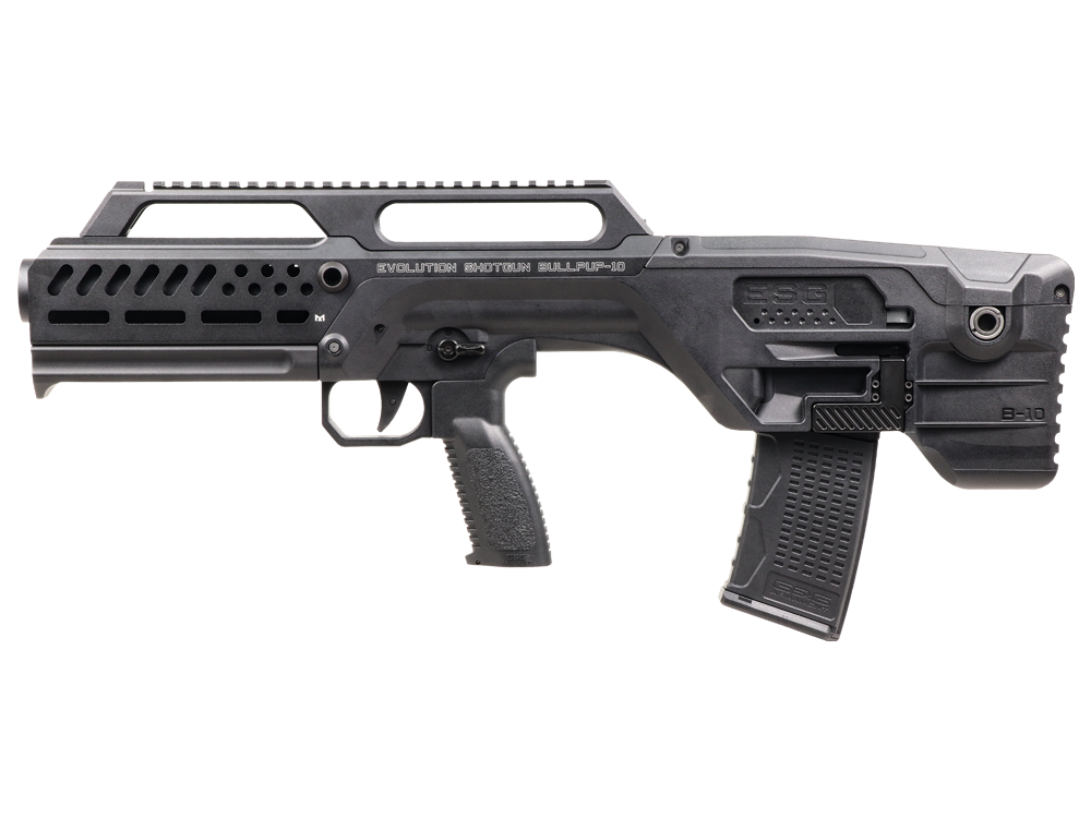 ESG B-10